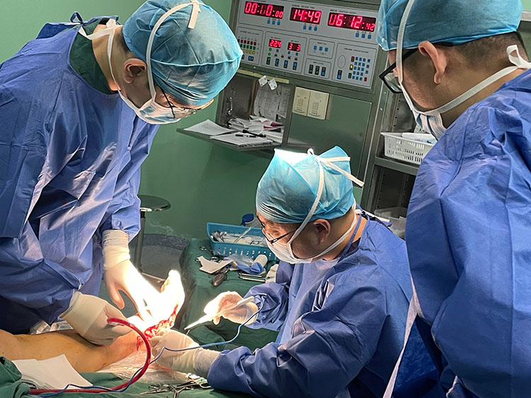 CC网投·(中国游)官方网站