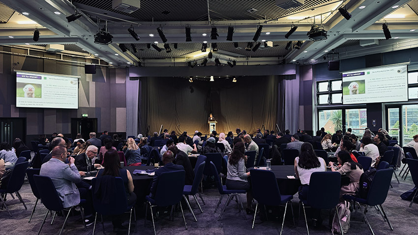 CC网投·(中国游)官方网站