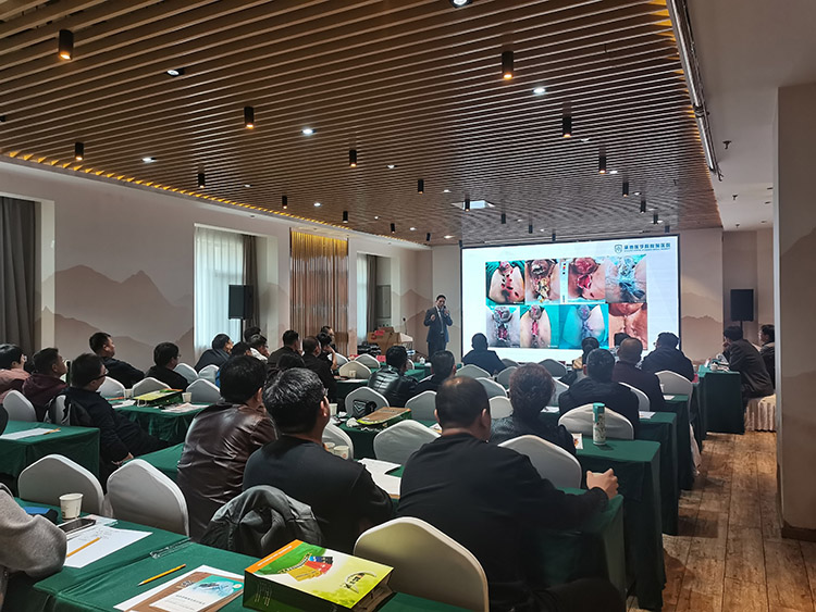 CC网投·(中国游)官方网站