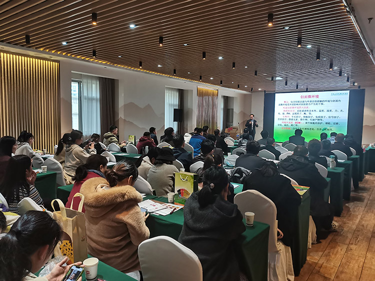 CC网投·(中国游)官方网站