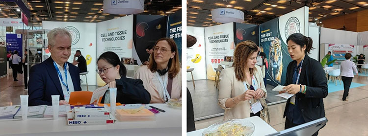 CC网投·(中国游)官方网站