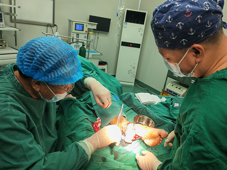 CC网投·(中国游)官方网站