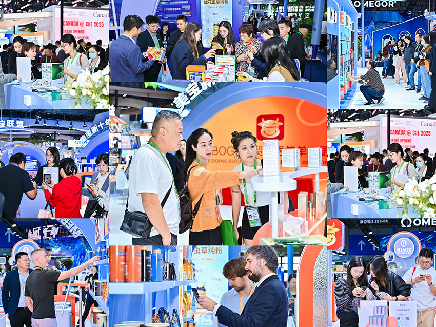 CC网投·(中国游)官方网站