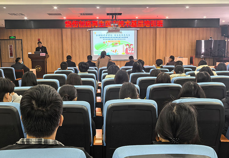 CC网投·(中国游)官方网站