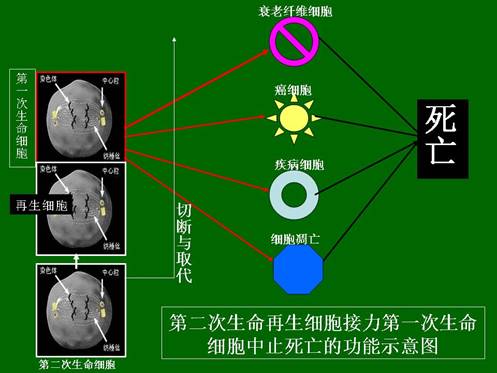 CC网投·(中国游)官方网站