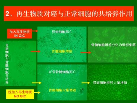 CC网投·(中国游)官方网站