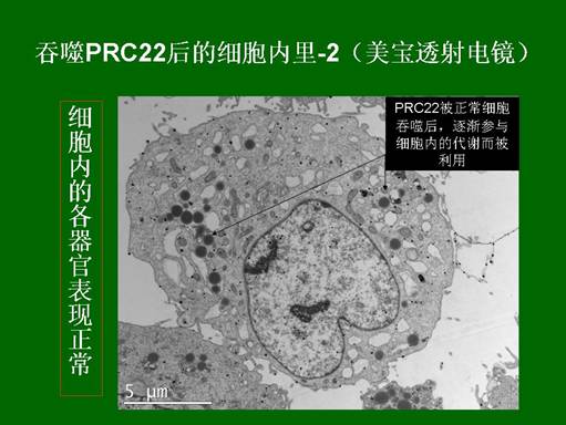 CC网投·(中国游)官方网站