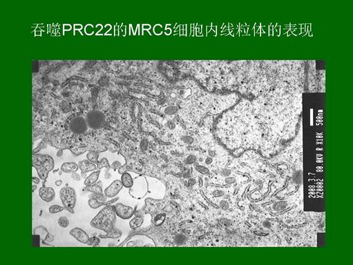 CC网投·(中国游)官方网站