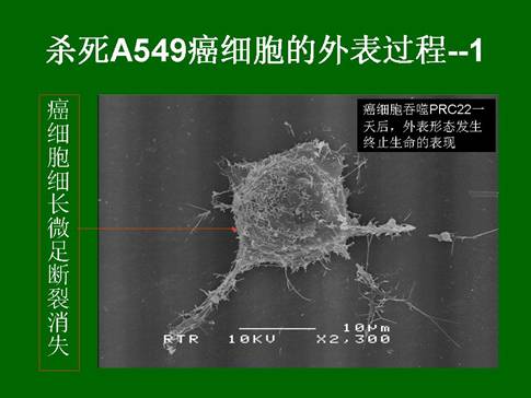 CC网投·(中国游)官方网站