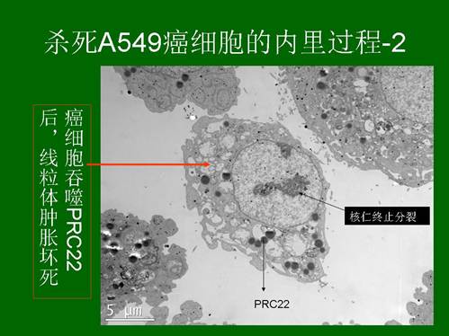 CC网投·(中国游)官方网站