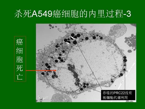 CC网投·(中国游)官方网站