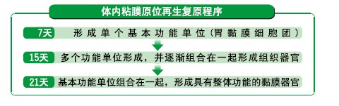 CC网投·(中国游)官方网站