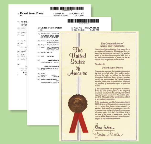 CC网投·(中国游)官方网站