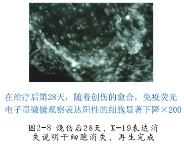 CC网投·(中国游)官方网站