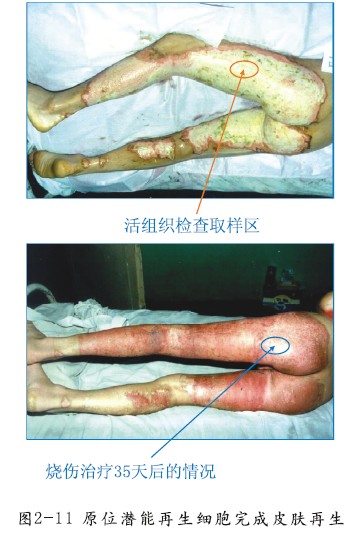 CC网投·(中国游)官方网站