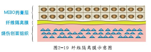 CC网投·(中国游)官方网站