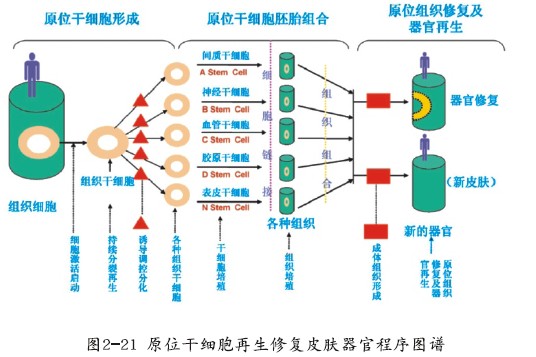 CC网投·(中国游)官方网站