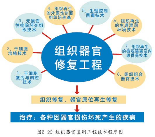 CC网投·(中国游)官方网站