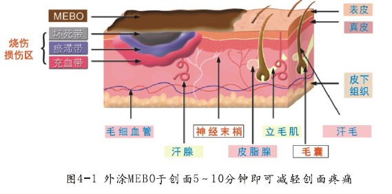 CC网投·(中国游)官方网站