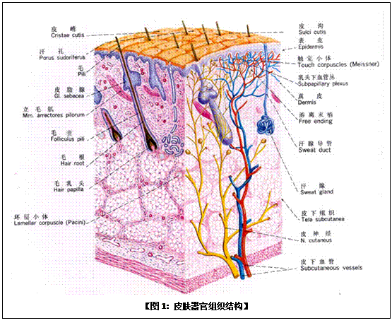 CC网投·(中国游)官方网站