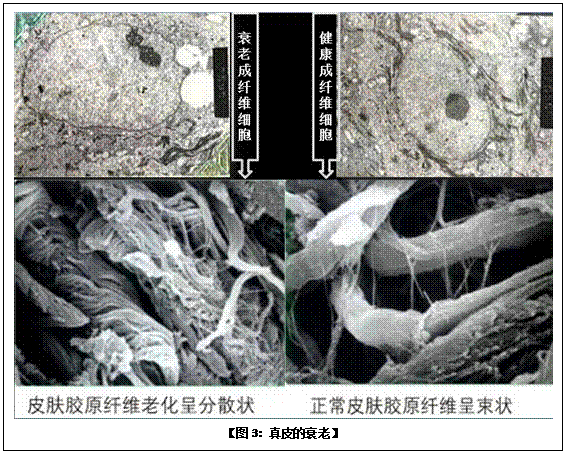 CC网投·(中国游)官方网站