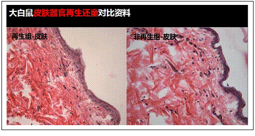 CC网投·(中国游)官方网站