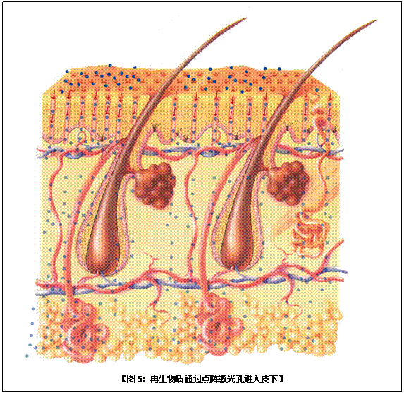 CC网投·(中国游)官方网站