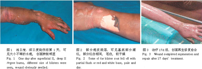 CC网投·(中国游)官方网站