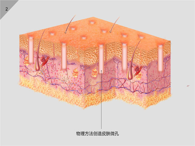 CC网投·(中国游)官方网站