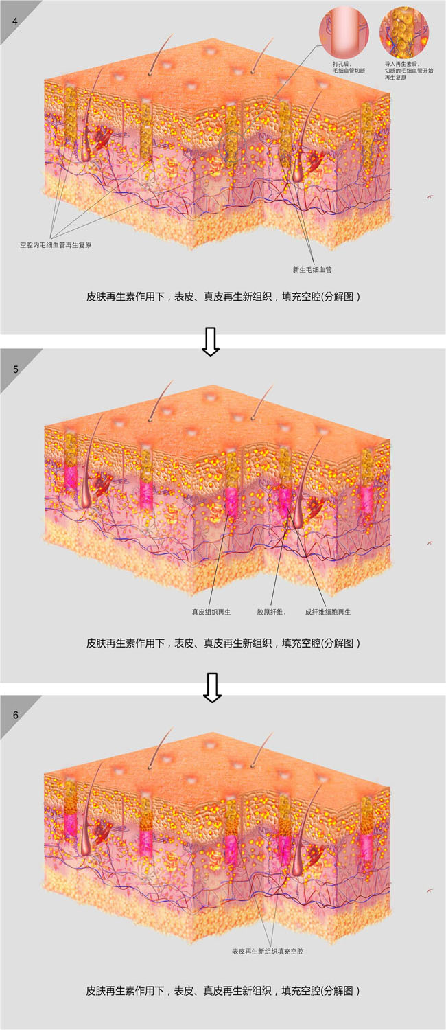 CC网投·(中国游)官方网站