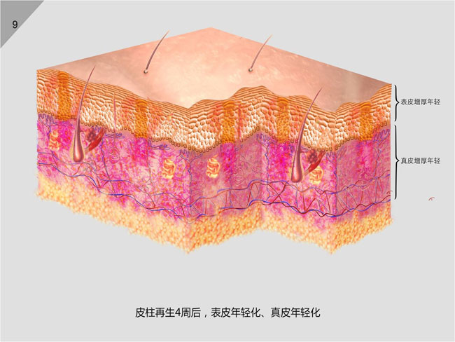 CC网投·(中国游)官方网站