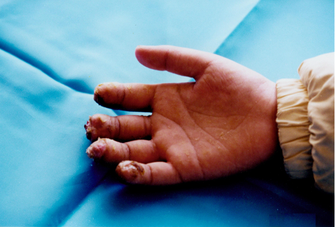 CC网投·(中国游)官方网站