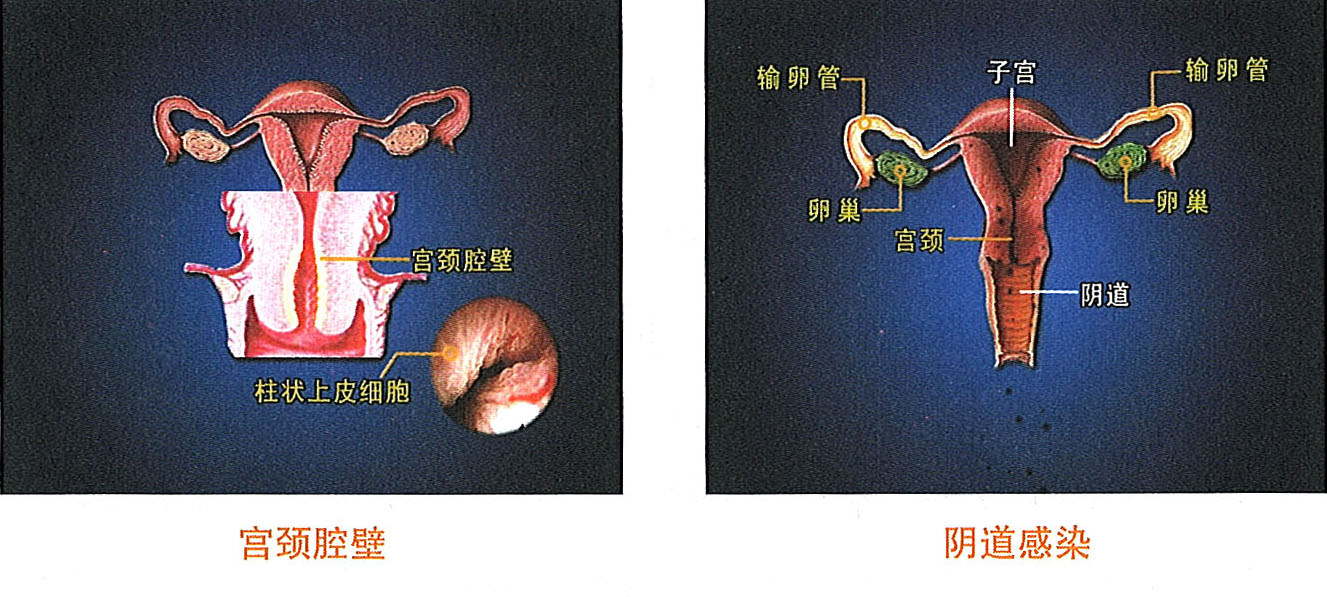 CC网投·(中国游)官方网站